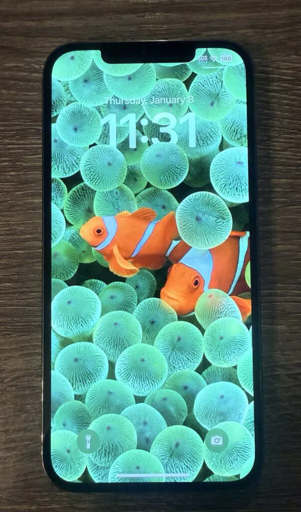 Used Unlocked Apple iPhone 12 Pro Max – 256GB Graphite
