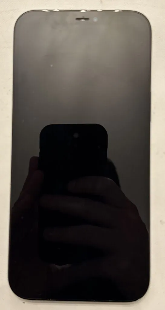Apple iPhone 12 Pro Max, 128 GB, Pacific Blue, Unlocked PLEASE READ ALL DETAILS!
