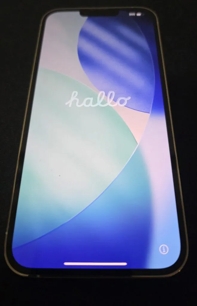 Apple iPhone 13 Pro Max (Silver/White)