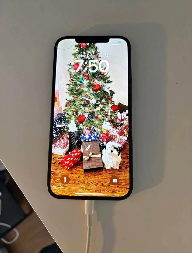 Broken Unlocked Apple iPhone 12 Pro Max 256GB Cracked Read!