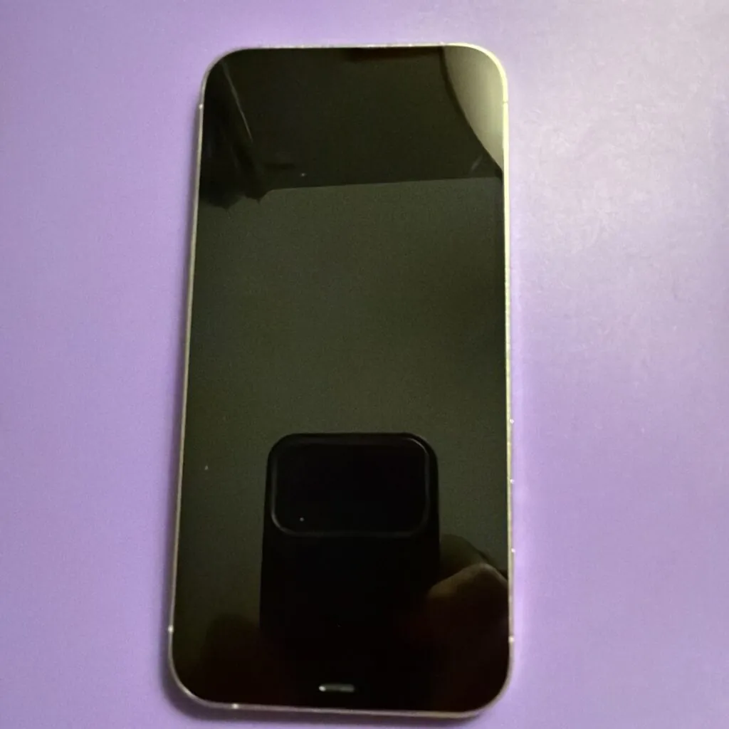 Apple iPhone 12 Pro Max 256GB Silver Unlocked Smartphone