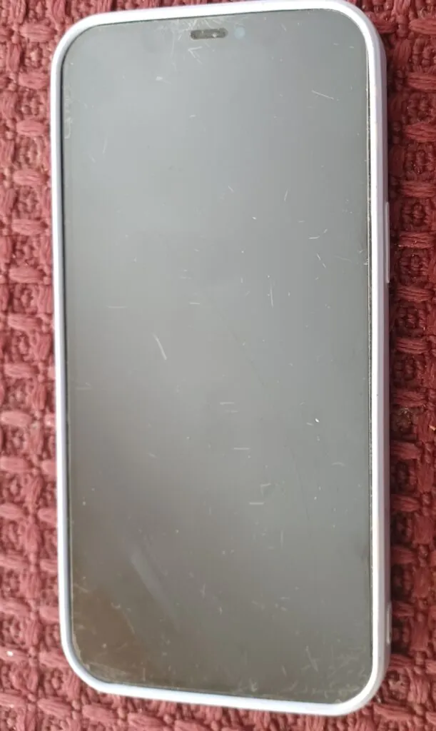 Apple iPhone 12 Pro Max – 256 GB – Pacific Blue (Unlocked)