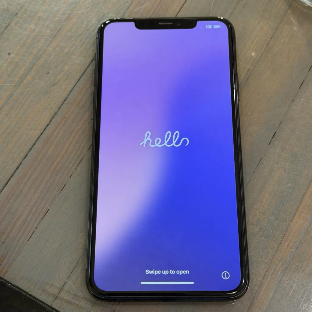 Apple iPhone 11 Pro Max 256GB  Fully Unlocked Excellent 73% batt space gray