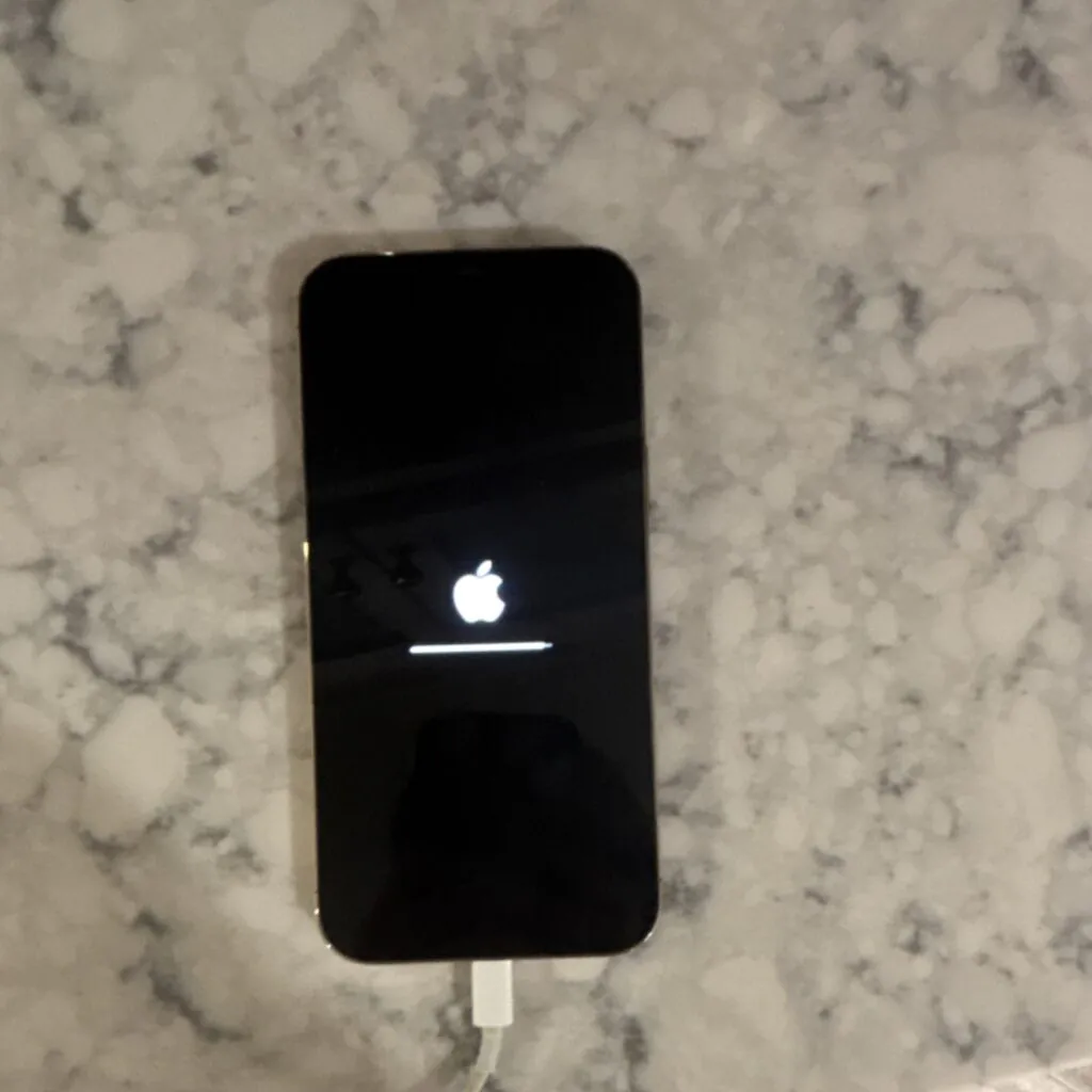 Apple iPhone 12 Pro Max Rose Gold Smartphone, iOS Unlocked Fair Condition