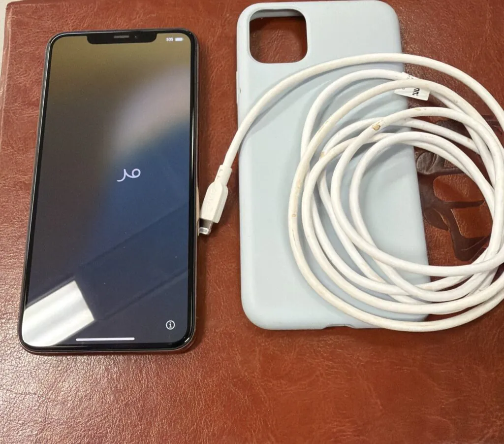 Apple iPhone 11 Pro Max Unlocked, Rose Gold 64 GB EUC Unlocked AT&T