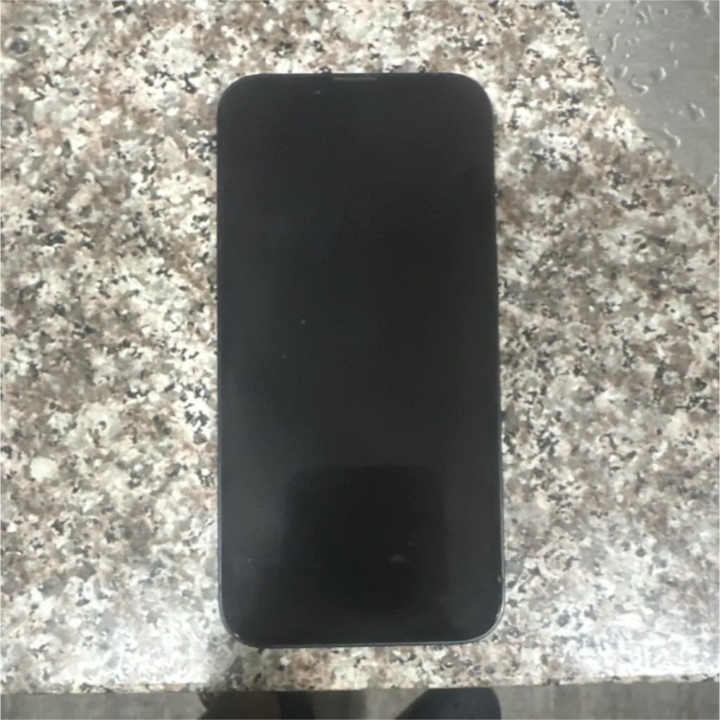 Apple iPhone 13 Blue Wi-Fi Bluetooth Lightning iOS Bar Smartphone