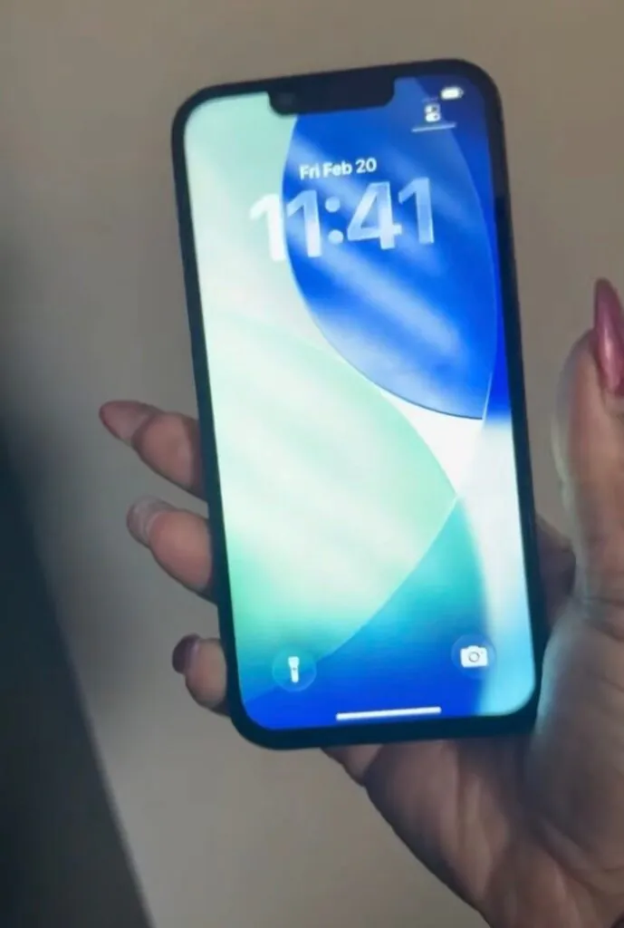 Apple iPhone 13 Pro – 256 GB – Alpine Green (Unlocked)