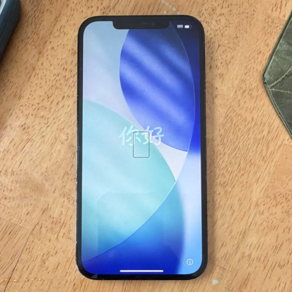 Apple iPhone 12 Pro Max