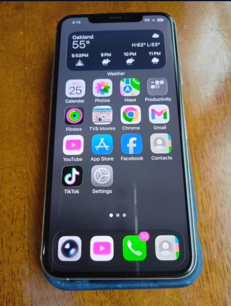 Apple iPhone 11 Pro Max 64GB White Excellent Condition (Factory Unlocked)