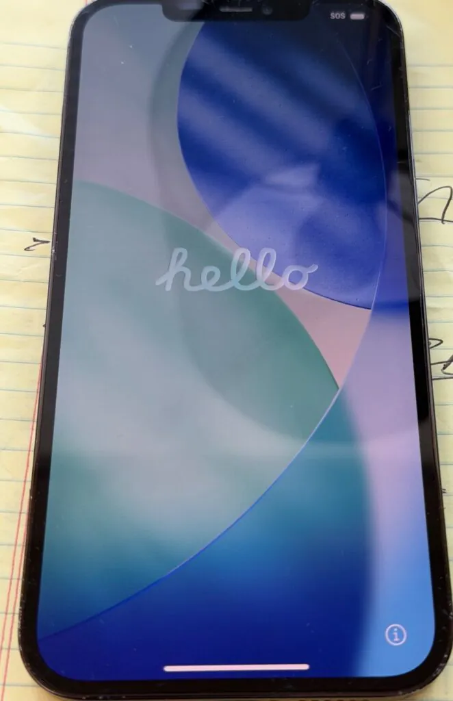 Apple iPhone 12 Pro Max – 256 GB – Pacific Blue (Unlocked)