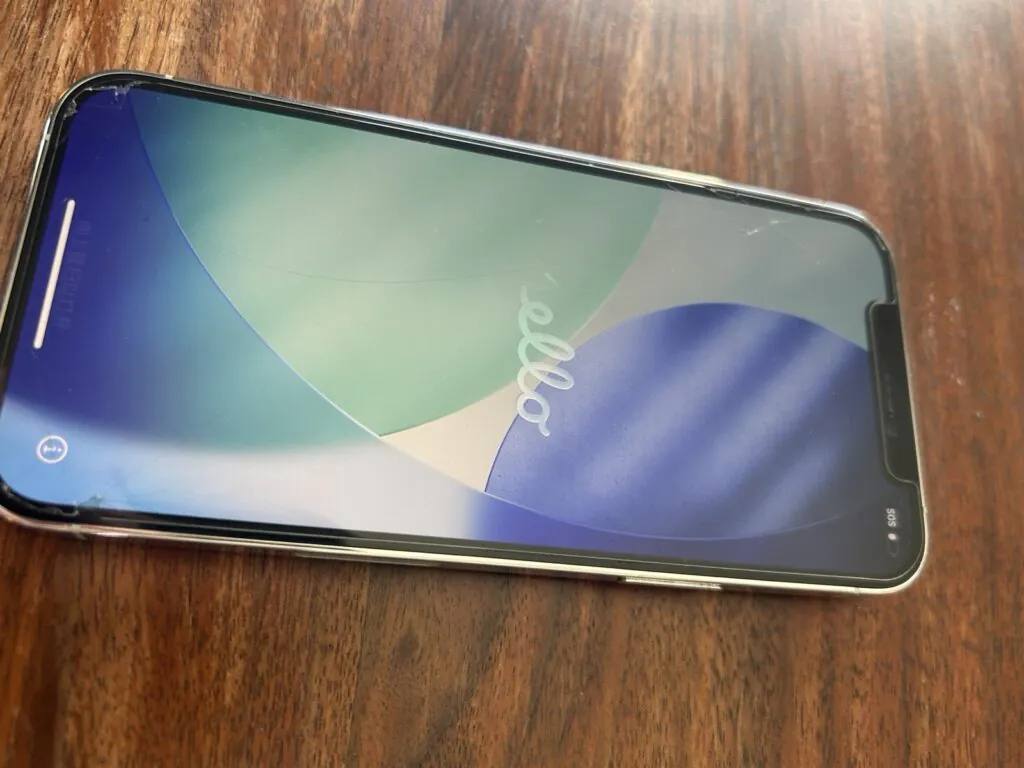 Apple iPhone 12 Pro 256gb, Unlocked, Silver