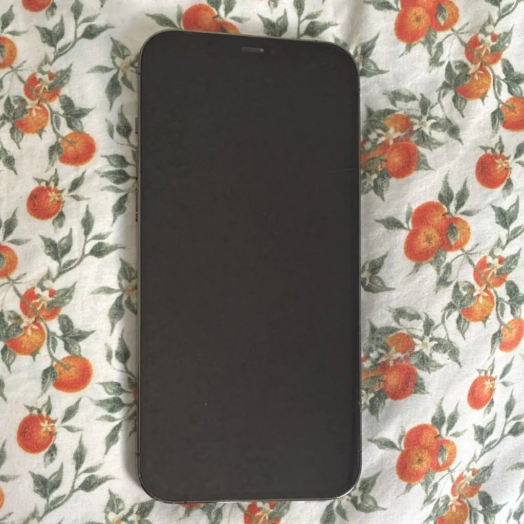 APPLE IPHONE 12 128 GB PRO MAX SPACE GRAY. MUST GO NOW!