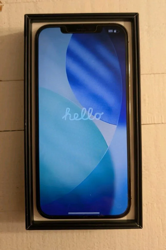 Apple iPhone 12 Pro Max Graphite 128GB Unlocked