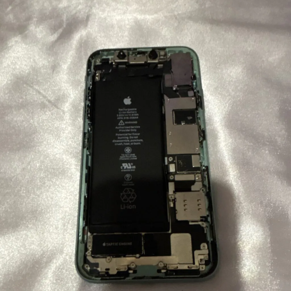 Apple iPhone 11 mint green