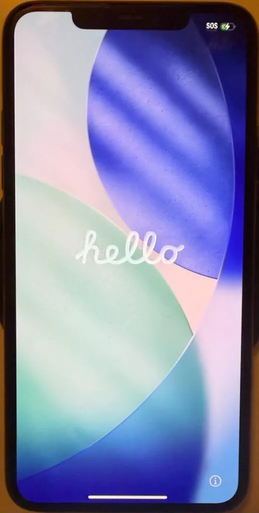 Apple iPhone 11 Pro Max 256GB Space Gray Unlocked Excellent Clean IMEI