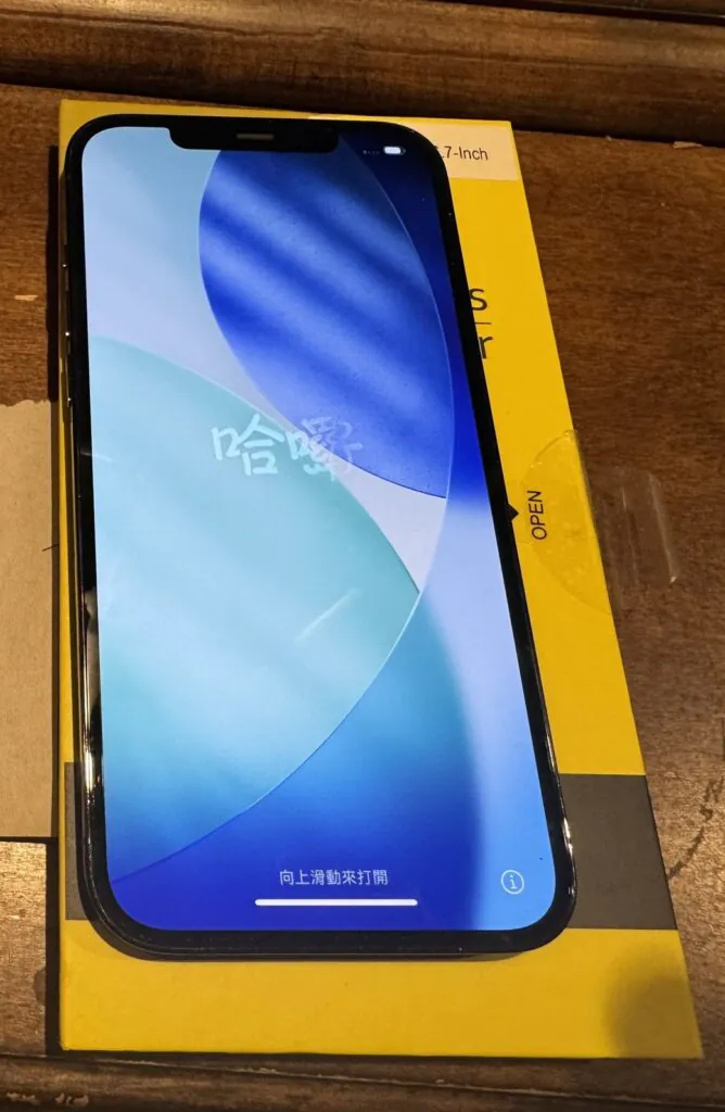 Apple iPhone 12 Pro Max – 256 GB – Graphite (Unlocked)