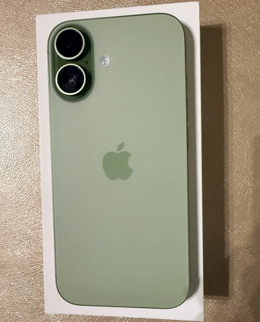 Apple iPhone 17 256GB Sage Unlocked MG4A4LL/A Warranty 10/2026