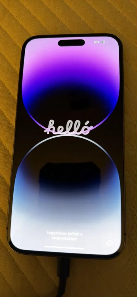 Apple iPhone 14 Pro Max 256GB Black iOS Bar Style Smartphone