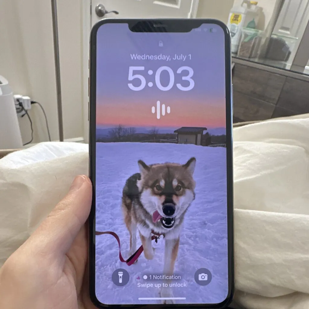 Apple iPhone 11 Pro Max 64GB Unlocked, Gold – Face ID Not Working