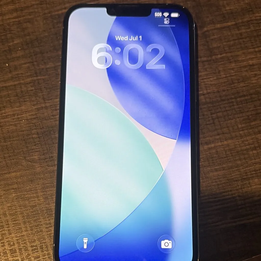 Apple iPhone 13 Pro Max 1TB BLUE  Unlocked -please read the descriptions!!!!!!!