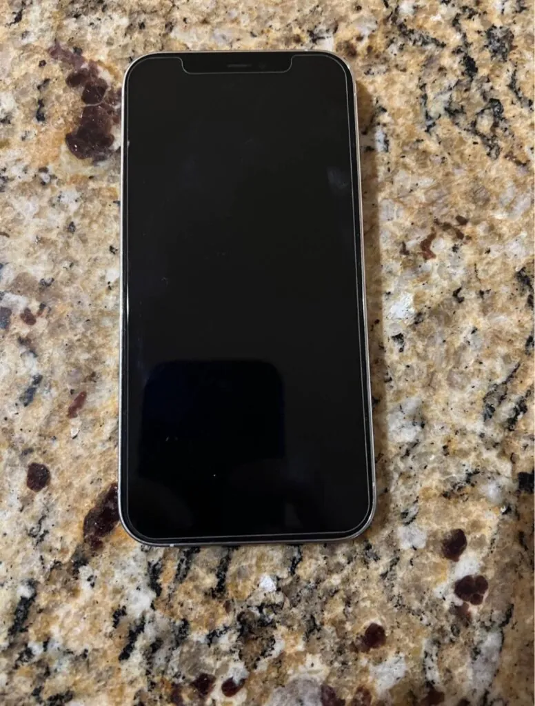 Apple iPhone 12 Pro – TikTok installed- 256 GB – Silver (Unlocked)