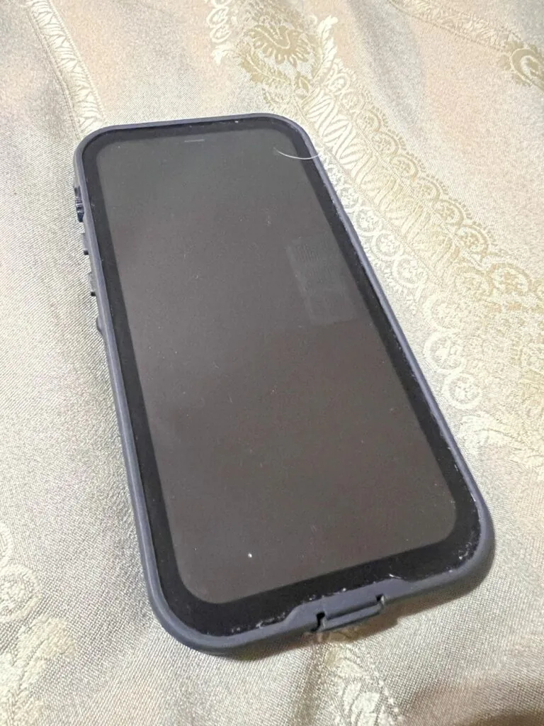 iPhone 12 Pro Max Unlocked