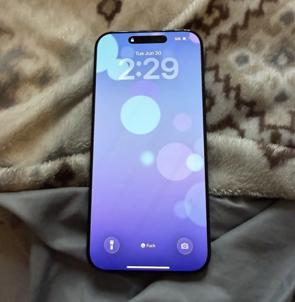 Apple iPhone 16 Pro Max 256GB Black (Verizon locked) 🔒