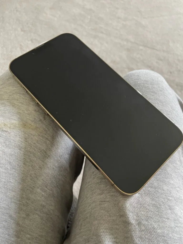 iPhone 13 Pro Max 256GB Unlocked