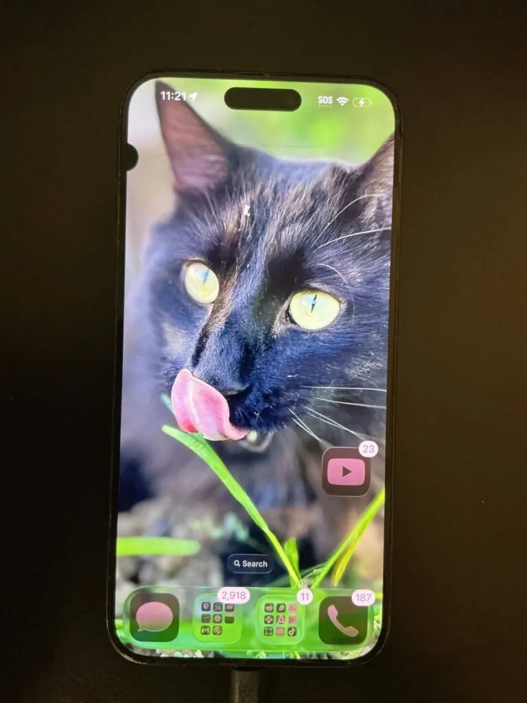 Apple iPhone 15 Pro Max 1TB – Factory Unlocked – Display Issue  READ DESCRIPTION
