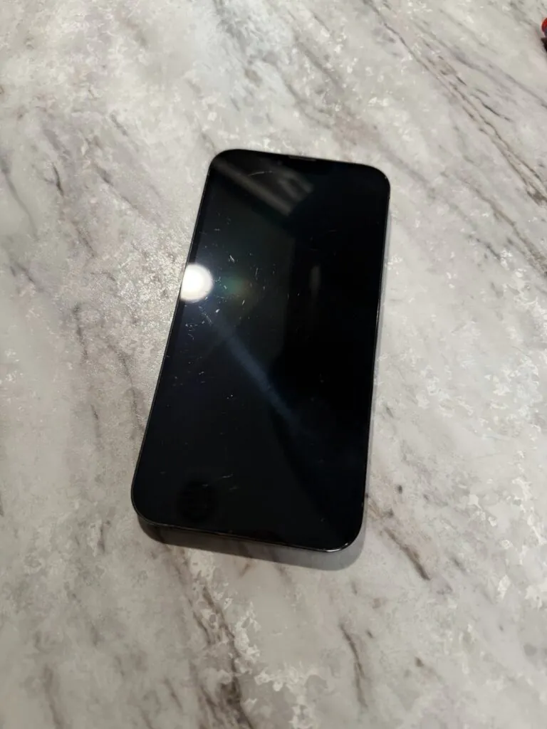 Apple iPhone 13 Pro Max 128GB Graphite Unlocked