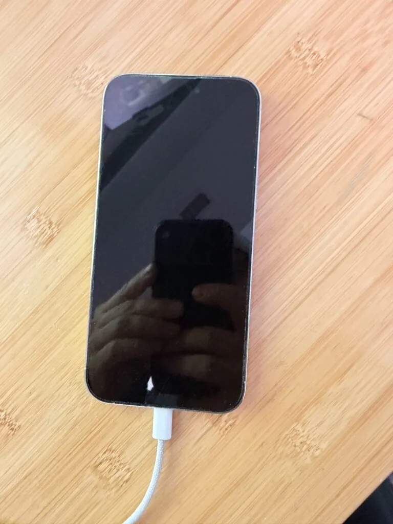 Apple iPhone 14 Pro Max – 256 GB – Silver (Unlocked)