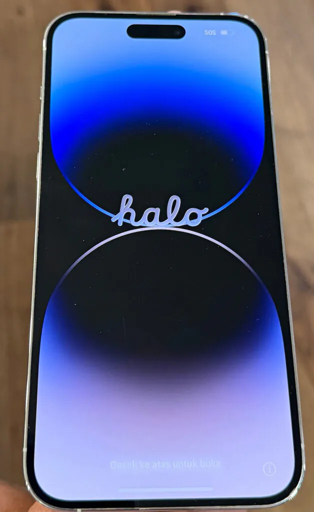 Apple iPhone 14 Pro Max 256GB (Used)