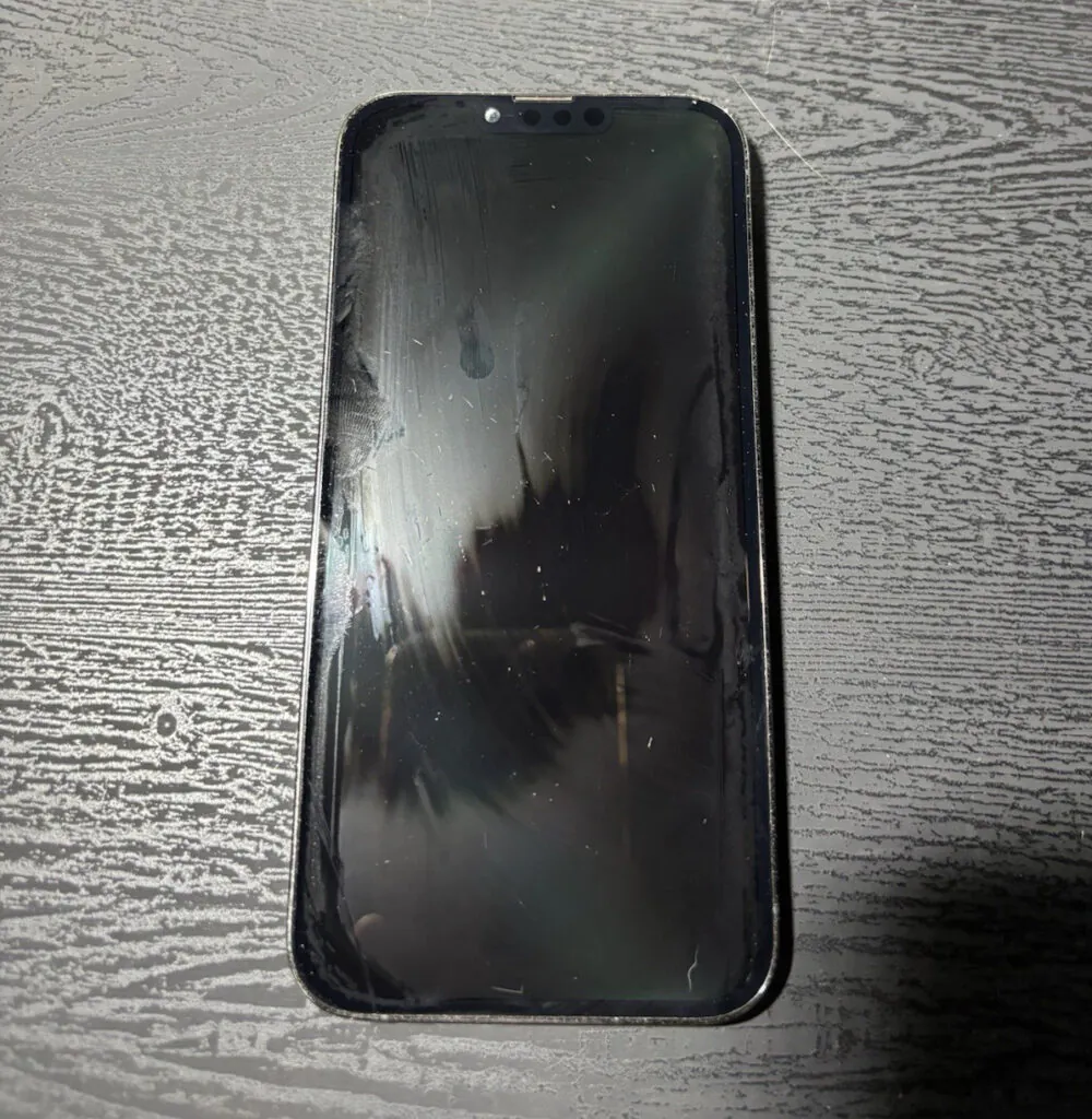 Apple iPhone 13 Pro Max 256GB Gray iOS Network Unlocked *Read*