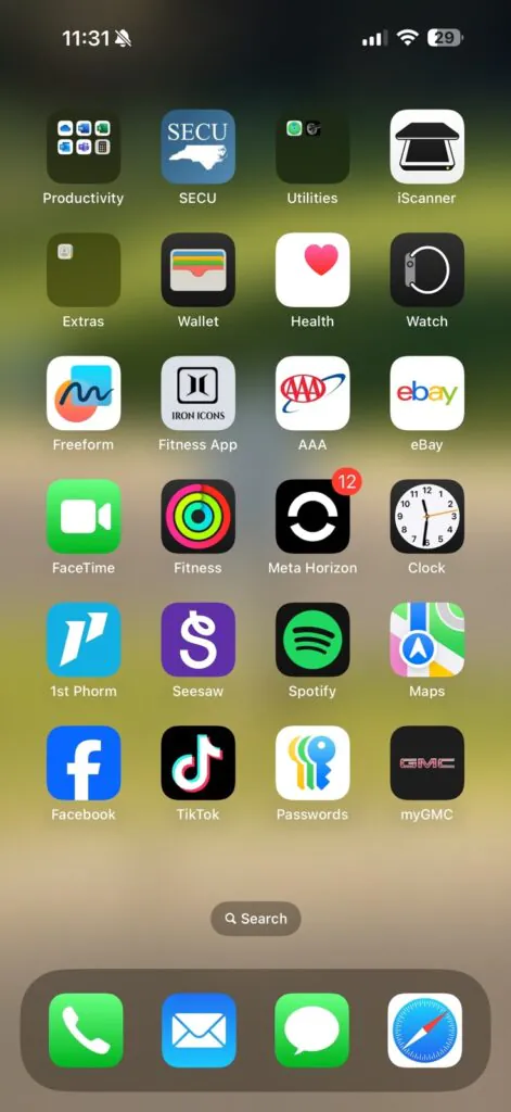 iPhone 16 Pro Max With TikTok