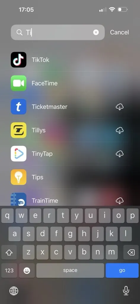 iPhone 13 Pro Max Tik tok