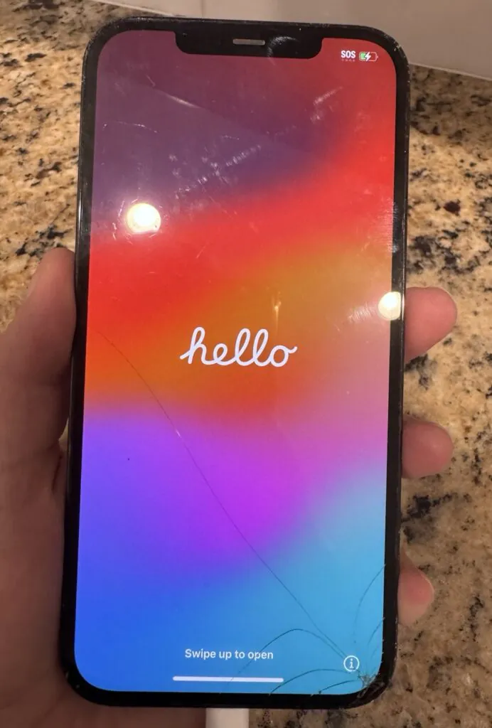 Apple iPhone 12 Pro Max (256 GB)- Factory Reset