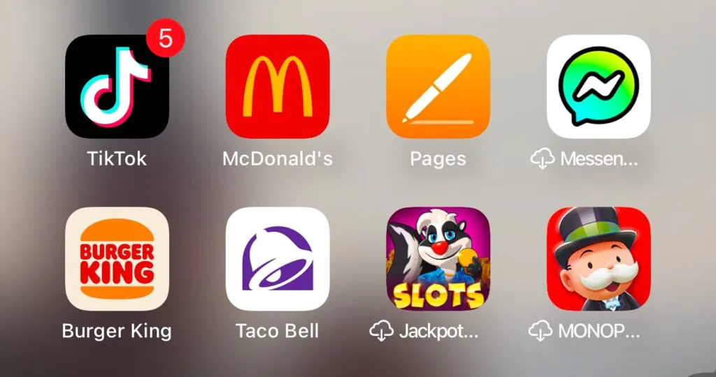 Tik Tok downloaded Apple IPhone 16 pro max !!!!