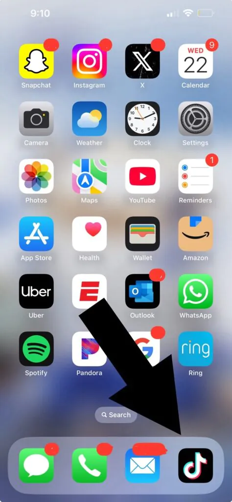Gold iPhone 13 Pro Max – TikTok Installed – Clean Condition