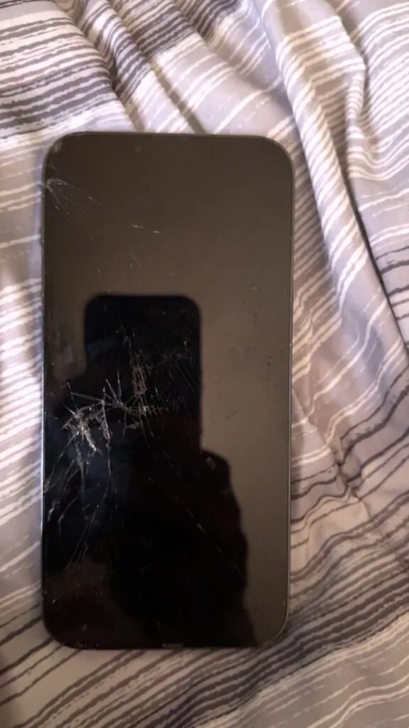 Apple iPhone 13 Pro Max – 128 GB – Sierra Blue (Unlocked)