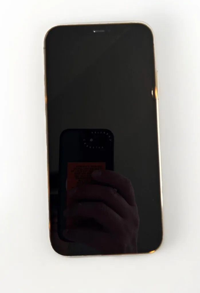 iPhone 12 Pro Max