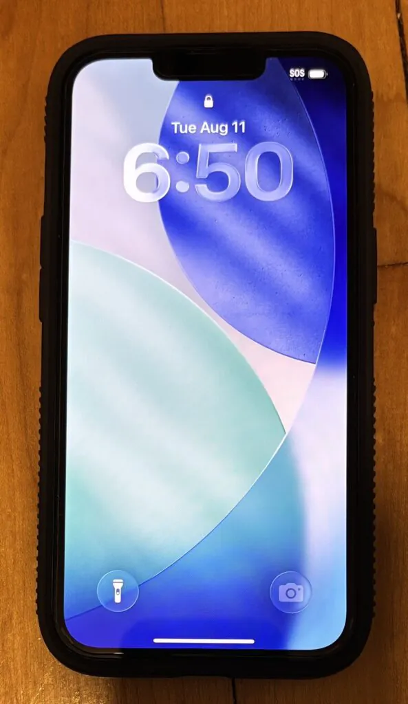 Apple iPhone 13 128GB Smartphone (Unlocked) – Read Description