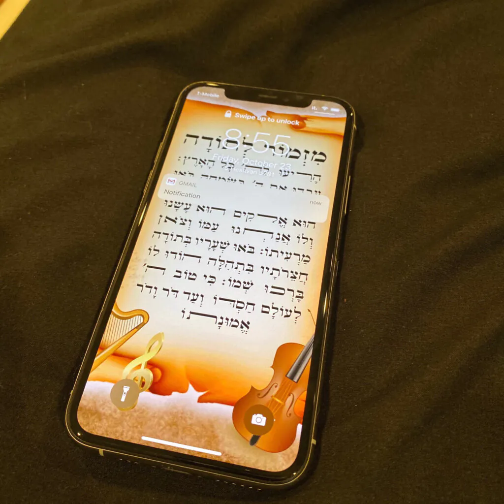 iPhone 11 Pro 265 Gb In Perfect Condition